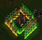 poisonfields.jpg